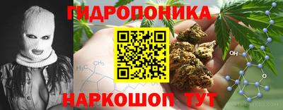 МДПВ Дубна